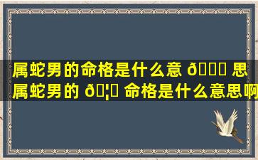 属蛇男的命格是什么意 🐋 思「属蛇男的 🦋 命格是什么意思啊」